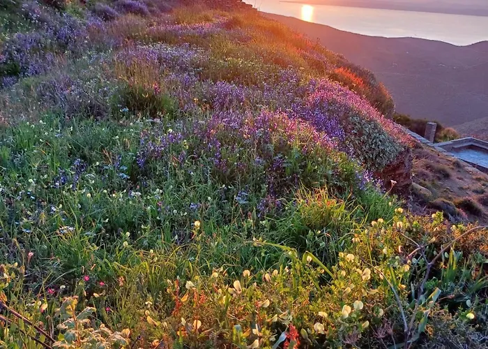 Aria Kea Sunset Homes Βίλα *