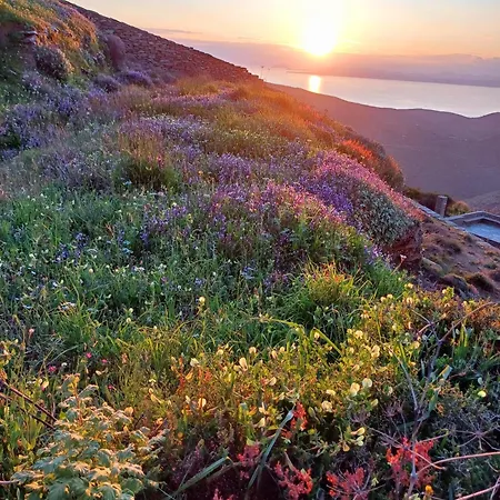 Aria Kea Sunset Homes Villa *